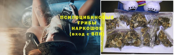 СК Аркадак