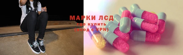 СК Аркадак