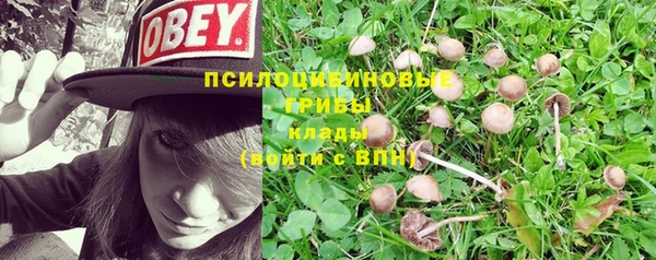 стаф Балахна