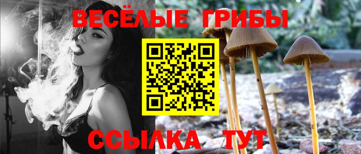 Псилоцибиновые грибы мухоморы  Псилоцибиновые грибы Psilocybe  Вход с VPN  Лянтор 